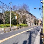 中央図書館 vs 戸山図書館、ガチ比較してみた